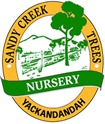 sandy creek trees logo